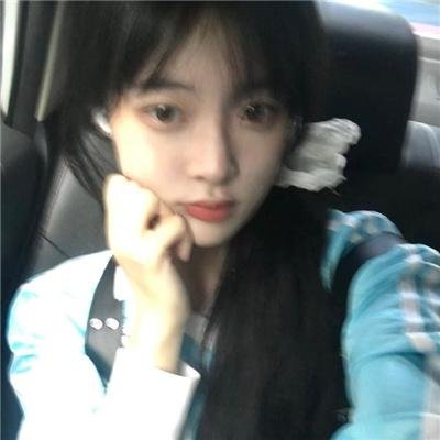 燕子盗