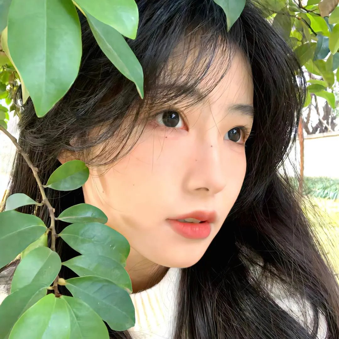 人体谬误